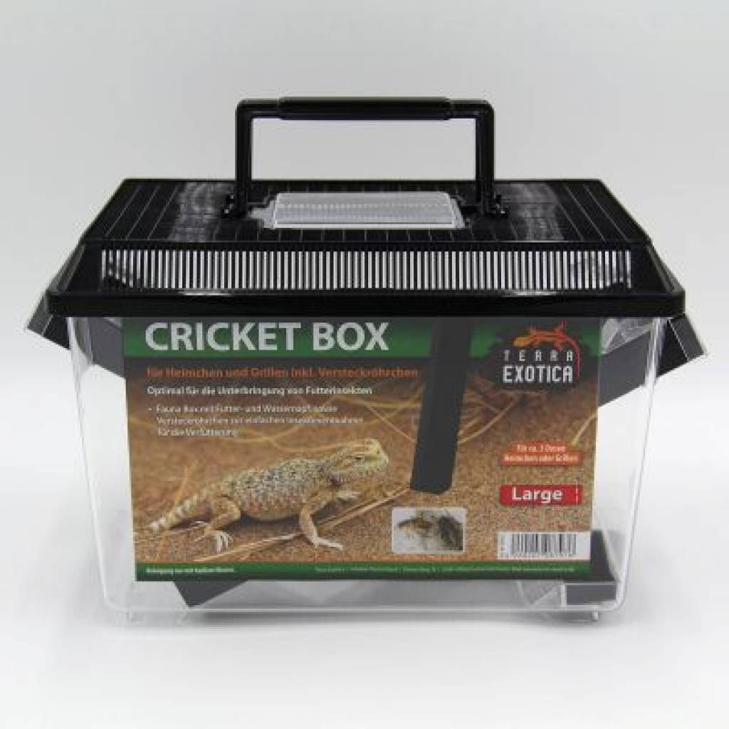 Cricket Box Verschiedene Größen